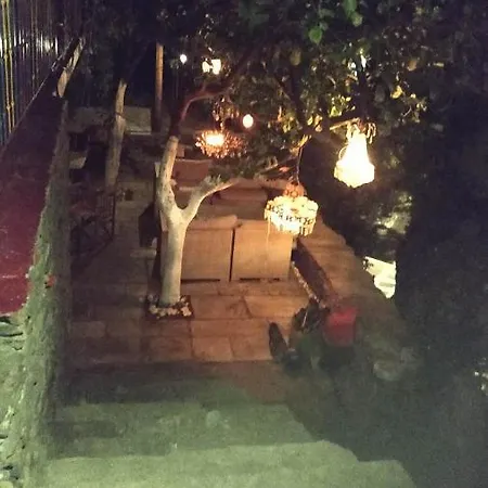 Lemon Tree Home