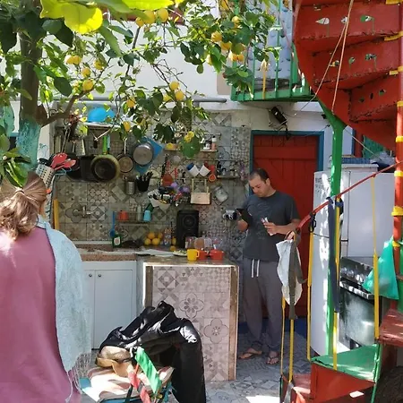 Albergue Lemon Tree House *