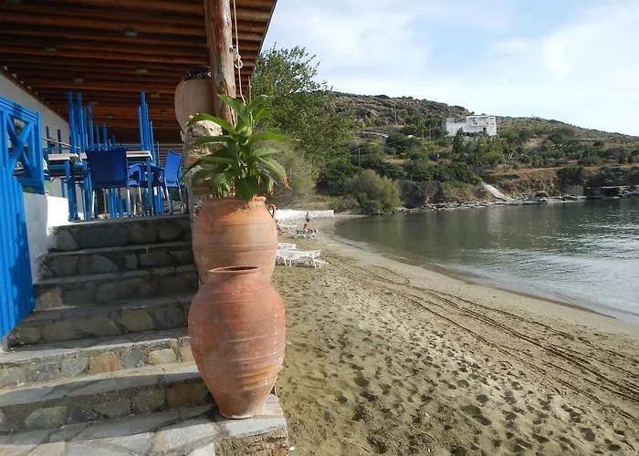 Lemon Tree House بيت شباب باتسي